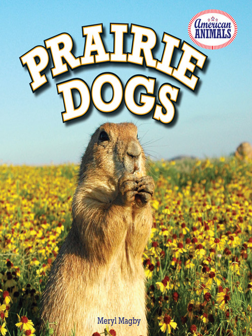 Cover image for Prairie Dogs